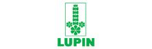 Lupin